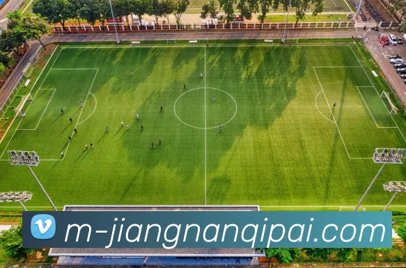 App Interface Preview